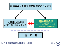 図表_健康を阻害する3大因子